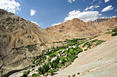 Blick auf Fluss-Oase, Ortschaft Yangtang an Bachlauf, Trekking-Tour von Kloster Likir nach Yangtang, Jammu und Kashmir, Ladakh, Indien
