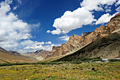Meadow beneath pass near Photoksar, Sengi La, Sengge La, Zanskar Range Traverse, Zanskar Range, Zanskar, Ladakh, India