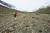 Woman with backpack crossing scree, Lakang Sumdo, Zanskar Range Traverse, Zanskar Range, Zanskar, Ladakh, Jammu and Kashmir, India