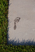 Wet Footprint on Concrete Stone By Grass