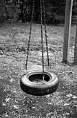 Tire Swing Supported by Three Chains