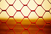 Mesh Fence on Beach at Sunset