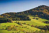 Glottertal, nahe Freiburg im Breisgau, Schwarzwald, Baden-Württemberg, Deutschland