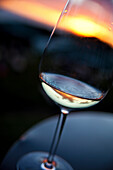 Glass of white wine against sunset, Stellenbosch, Western Cape, South Africa