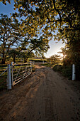 Entrance to Bellingham Winery with Mountain Simonsberg, Franschoek, Cape Town, Western Cape, South Africa, RSA, Africa