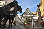 Horse and carrrige in Weimar, Thuringia, Germany