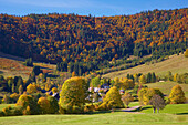 Bernau Hof in Autumn, Southern part of Black Forest, Black Forest, Baden-Wuerttemberg, Germany, Europe