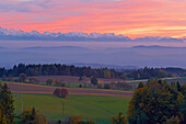 View from Hoechenschwand towards the Swiss Alps, Autumn Evening, Sunset, Southern part of Black Forest, Black Forest, Baden-Wuerttemberg, Germany, Europe