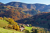 Herbst in Schönau-Aitern, Wiesental, Südschwarzwald, Schwarzwald, Baden-Württemberg, Deutschland, Europa