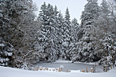 Landscape near St Maergen, Mill pond in Winter, Black Forest, Baden-Wuerttemberg, Germany, Europe