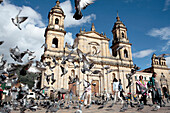 Pigeon flying away in front of Primate Cathedral, Bogota, Colombia