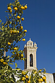 An orange tree frames the church at Omodhos, Cyprus