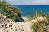 Path through sand dune in West Jutland, Dune and beach, West Jutland, Denmark.