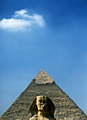 Sphinx in front of Pyramid of Chephren, Giza, Cairo, Egypt