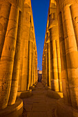Collonade in Court of Amenophis III at dusk, Luxor Temple, Egypt