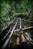 Hiking boots on ' living root bridge ' ladder, Near Warthumbalong, East Khasi Hills, Meghalaya, North East States, India