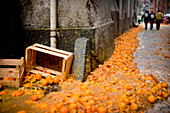 A river of oranges after Orange Festival, Ivrea, Italy