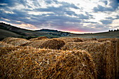 Tuscany Landscape, Tuscany landscape in Val d'Orcia, Siena, Tuscany, Italy