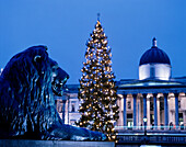 Christmas tree and National Gallery at dusk, London, UK