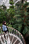 Temperate House interior with woman walking down stairs, Kew Gardens, London, England, UK
