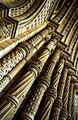 National History Museum, Close Up, London