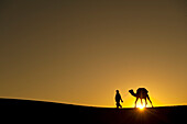 Silhouette of Berber leading camel across sand dunes at dusk in the Erg Chebbi, Sahara Desert, Merzouga, Morocco.