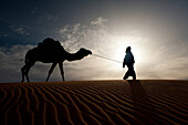 Silhouette of Berber leading camel across sand dunes at dusk in the Erg Chebbi, Sahara Desert, Merzouga, Morocco.