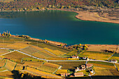 View to lake Kalterer See with vineyards in autumn colours, lake Kalterer See, South Tyrol, Italy, Europe