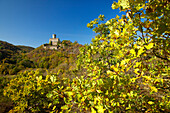 Burg Pyrmont unter blauem Himmel, Eifel, Rheinland-Pfalz, Deutschland, Europa