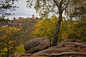 Blick auf Burg Nideggen, Nationalpark Eifel, Nordrhein-Westfalen, Deutschland, Europa