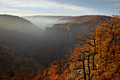 Blick vom Hexentanzplatz über das Bodetal zur Rosstrappe, bei Thale, Harz, Sachsen-Anhalt, Deutschland, Europa