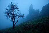 Mist at the rock formation Teufelsmauer, near Blankenburg, Harz mountains, Saxony-Anhalt, Germany, Europe