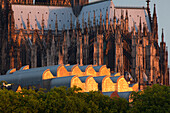 Cathedral and Museum Ludwig in the evening light, Cologne, North Rhine-Westphalia, Germany, Europe