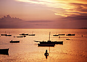 Fishermen preparing their dhows before heading out to sea at dawn, Ilha de Mocambique, Mozambique