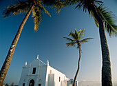 Church of Santo Antonio beneath palm trees, Low angle view, Ilha de Mocambique, Mozambique