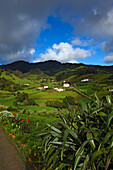 Landscape of Santa Maria Island, Azores, Portugal