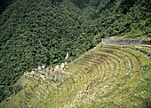 View of Winay Wayna, Urubamba Valley, Peru