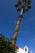 Bell tower of San Telmo Church, Puerto de la Cruz, Tenerife, Canary Islands, Spain