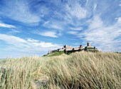 Looking over long grass to Bamburgh Castle, Northumberland, England