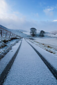 Car tracks in fresh snow, Perth and Kinross, Scotland, England
