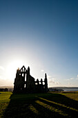 Silhouette abbey ruins, sunset, Whitby, North Yorkshire, England, UK