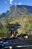 Roaima Tepuis rocks and stream, Gran Sabana, Venezuela