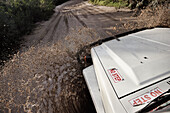 Water creek drivethrough with offroad vehicle 4wd, Fraser Island, UNESCO World Nature Site, Queensland, Australia