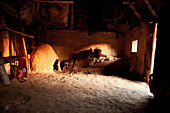 Typical residence of Germanic people, Lejre around Roskilde, Denmark