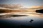 Glatte Spiegelung auf Lake St Clair, See, Overland Track, Cradle Mountain Lake St Clair Nationalpark, Tasmanien, Australien