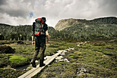 Hiking across Tasmanias wilderness, Walls of Jerusalem National Park, Tasmania, Australia