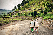 Tamilische Teepflückerinnen auf dem Weg zur Teefabrik, Teeherstellung, Haputale, Hochland Sri Lanka