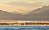 Morgenstimmung am Chiemsee, Chiemgau, Oberbayern, Bayern, Deutschland