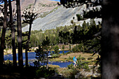 Junge Frau wandert durch die schöne Natur im Tioga Pass, Yosemite-Nationalpark, Kalifornien, USA