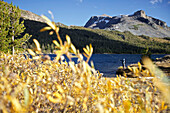 Young man fishing in the beautiful nature of the Tioga Pass, Yosemite National Park, California, USA